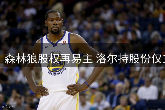 森林狼股权再易主 洛尔持股份仅14个月便转手