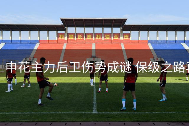 申花主力后卫伤势成谜 保级之路再添变数